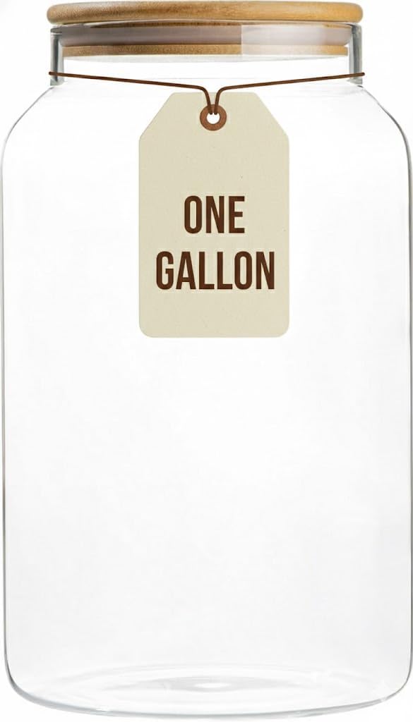 1 Gallon Glass Large Jar with  - Food Storage In The Kitchen 评论和价格