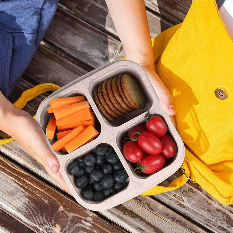 4 Grids Food Storage Box Porta - Food Storage And Preservation 评论和价格