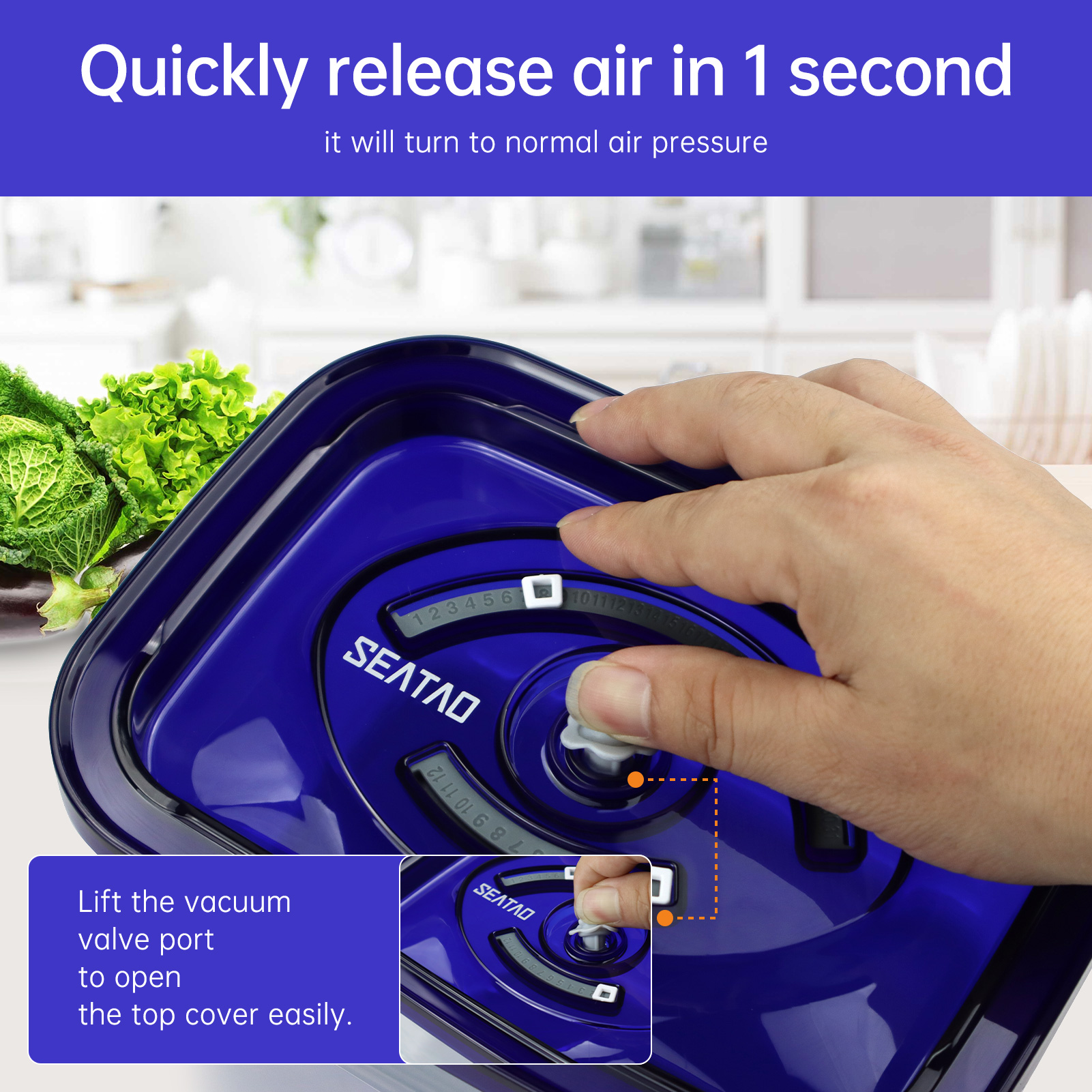 SEATAO Glass Food Storage Cont - Food Storage Vacuum 评论和价格
