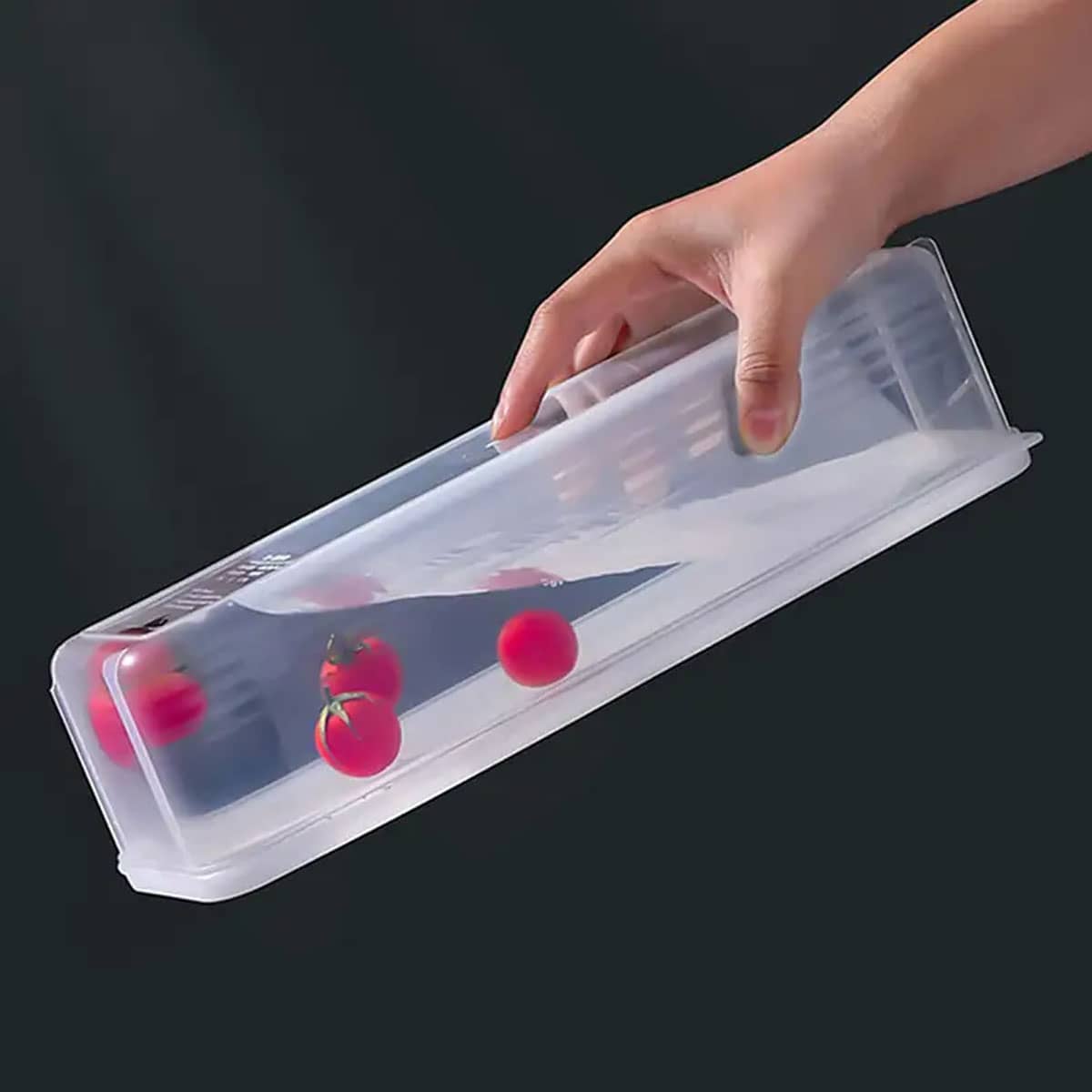 1 Plastic Transparent Storage  - Food Storage Unit 评论和价格